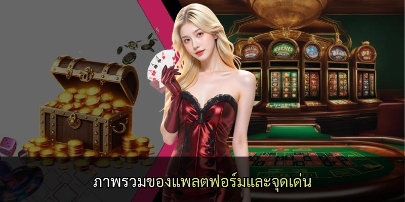 ภาพรวมของแพลตฟอร์มและจุดเด่น