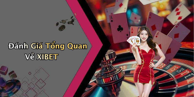 Đánh Giá Tổng Quan Về XIBET